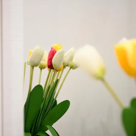 ***** Imperiale Ingenito 아파트 *