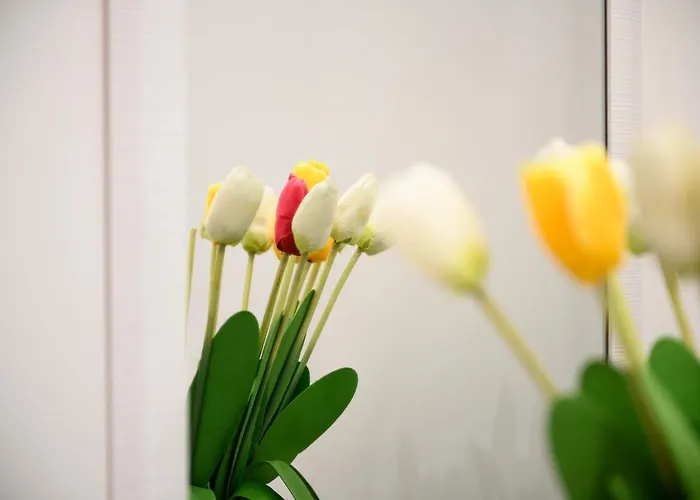 ***** Imperiale Ingenito 公寓 *